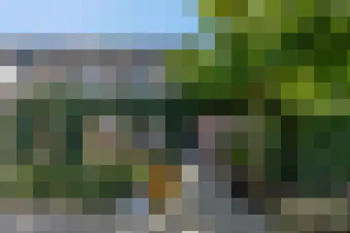 Waterlelie 36 Woudenberg thumbnail 48