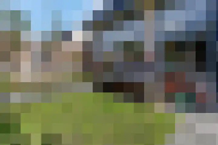 Waterlelie 36 Woudenberg thumbnail 49