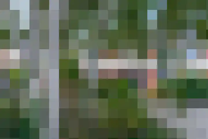 Waterlelie 36 Woudenberg thumbnail 5