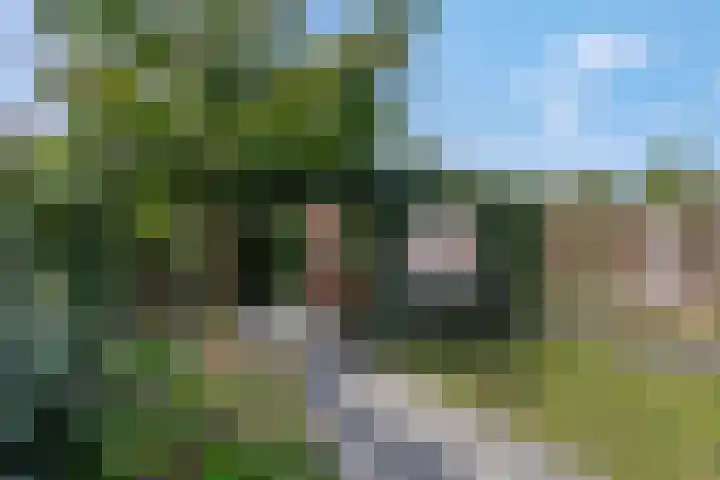 Waterlelie 36 Woudenberg thumbnail 50