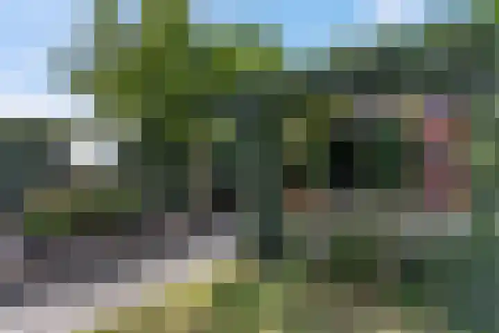 Waterlelie 36 Woudenberg thumbnail 51