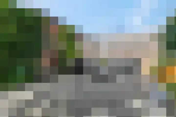 Waterlelie 36 Woudenberg thumbnail 52