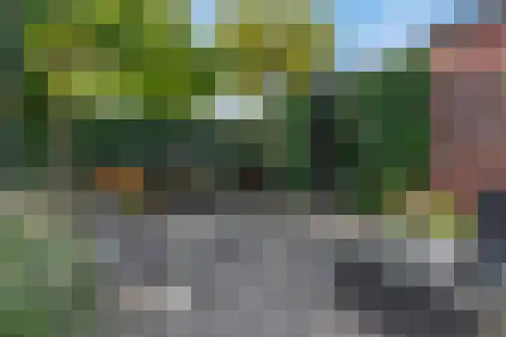 Waterlelie 36 Woudenberg thumbnail 53