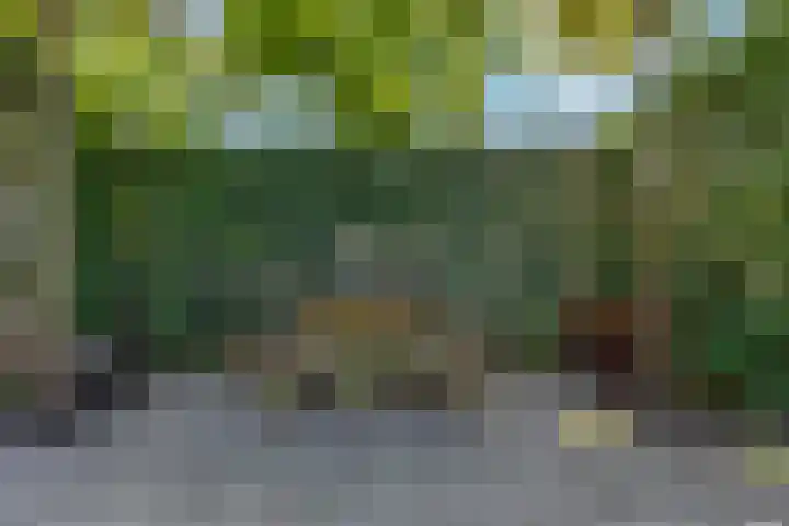 Waterlelie 36 Woudenberg thumbnail 54