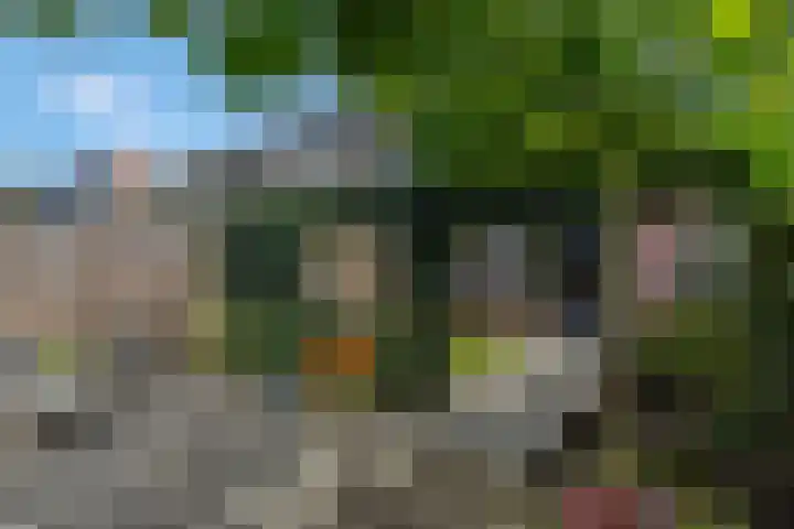 Waterlelie 36 Woudenberg thumbnail 55