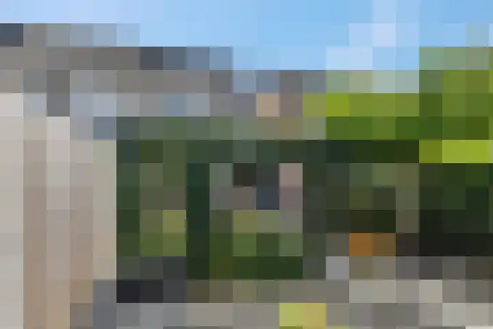 Waterlelie 36 Woudenberg thumbnail 56