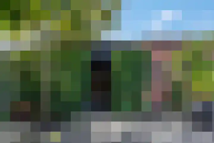 Waterlelie 36 Woudenberg thumbnail 57