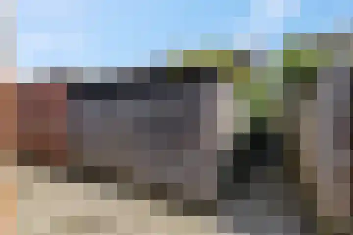 Waterlelie 36 Woudenberg thumbnail 58