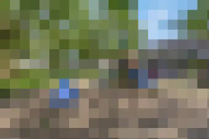 Waterlelie 36 Woudenberg thumbnail 59