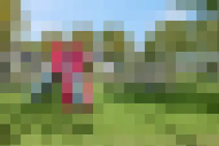 Waterlelie 36 Woudenberg thumbnail 60