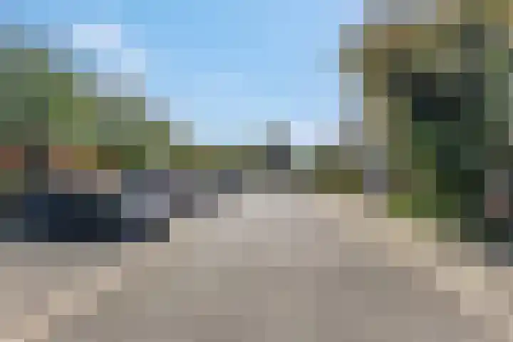 Waterlelie 36 Woudenberg thumbnail 61