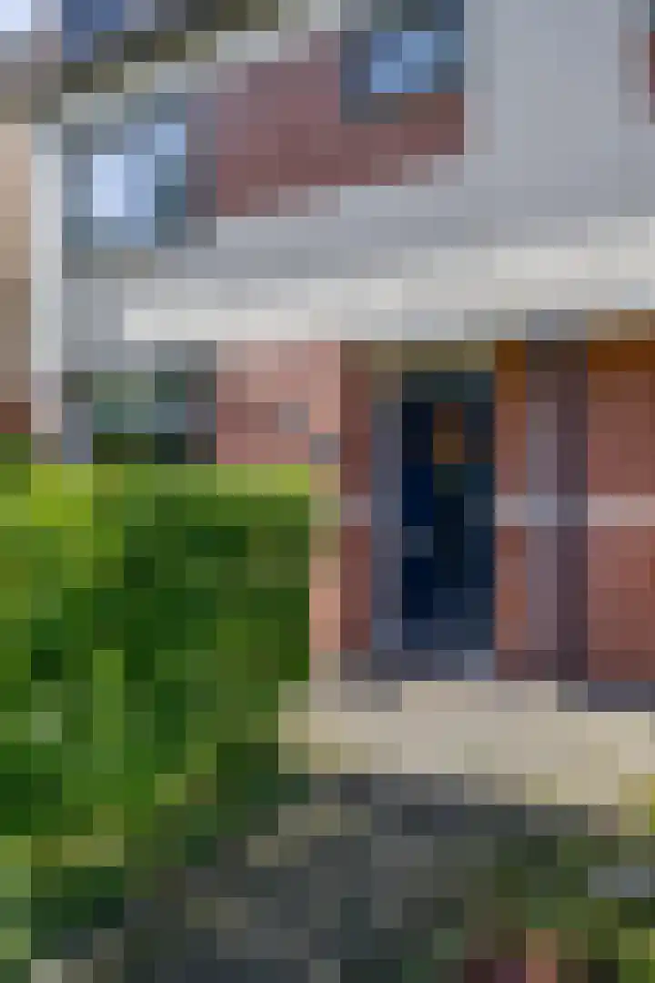 Waterlelie 36 Woudenberg thumbnail 63