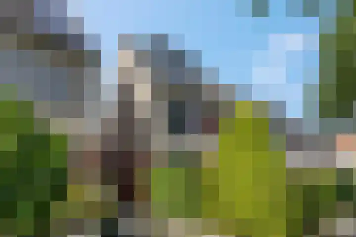 Waterlelie 36 Woudenberg thumbnail 7
