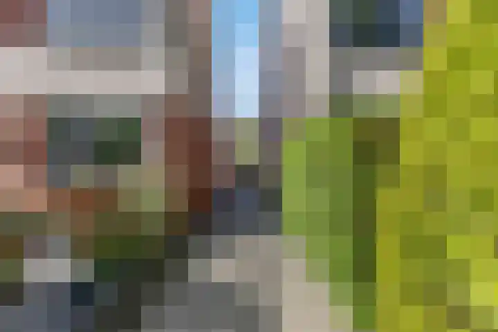 Waterlelie 36 Woudenberg thumbnail 8