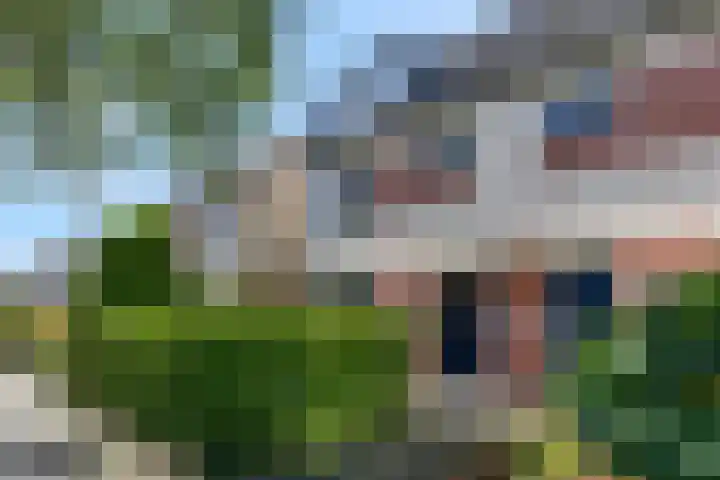 Waterlelie 36 Woudenberg thumbnail 9