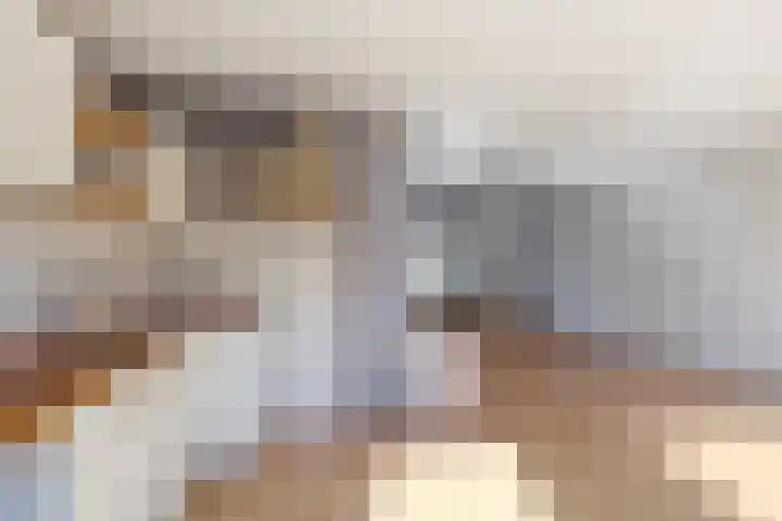 Waterlelie 4 Bovenkarspel thumbnail 13