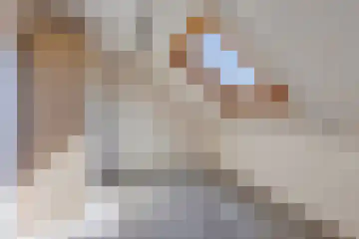 Waterlelie 4 Bovenkarspel thumbnail 18
