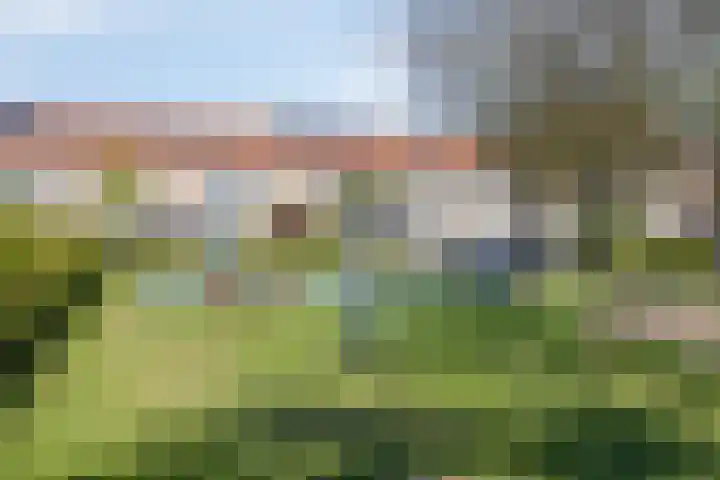 Waterlelie 4 Bovenkarspel thumbnail 24
