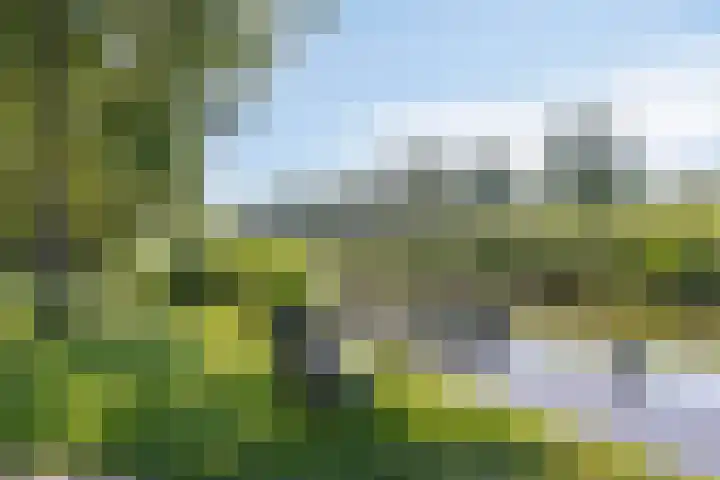 Waterlelie 4 Bovenkarspel thumbnail 25