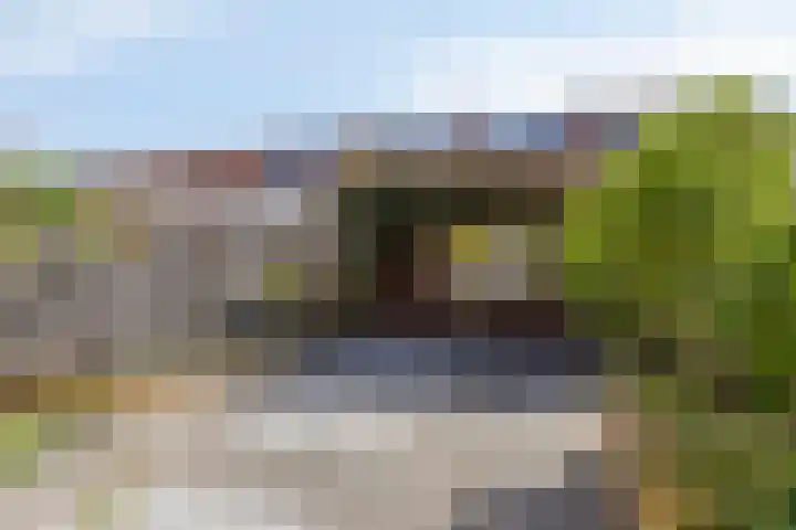 Waterlelie 4 Bovenkarspel thumbnail 6