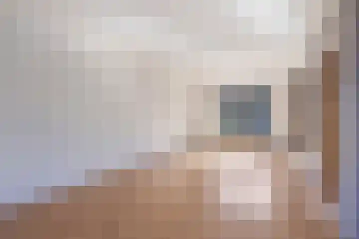 Waterlelie 4 Bovenkarspel thumbnail 8