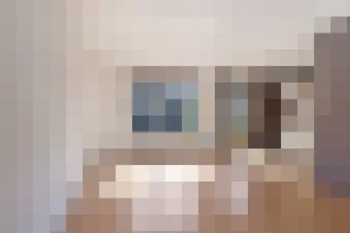 Waterlelie 4 Bovenkarspel thumbnail 9