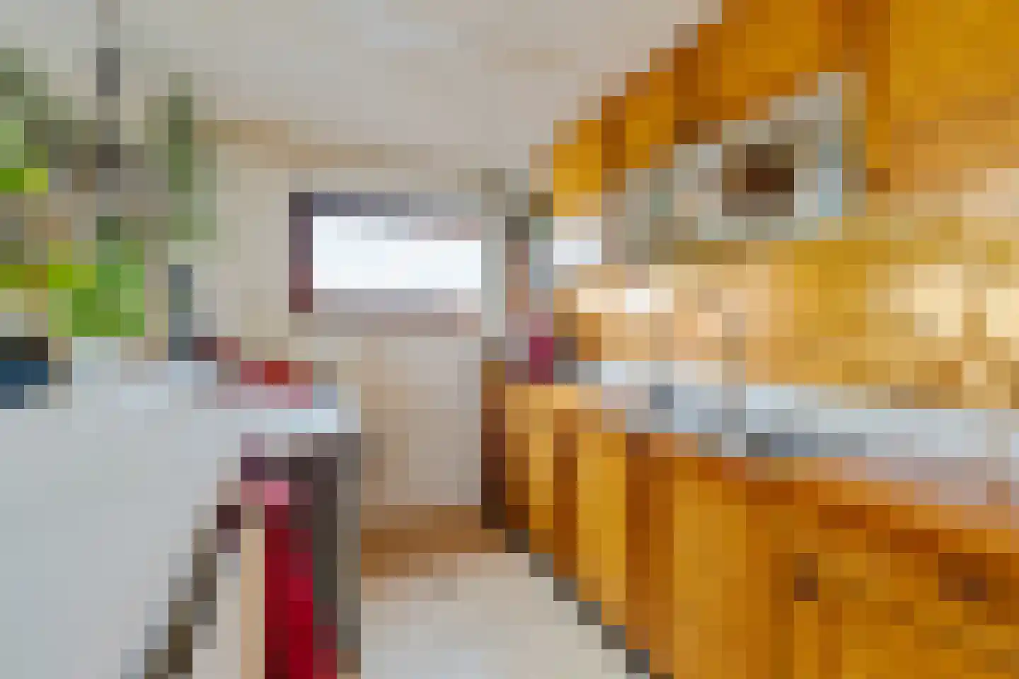 Waterlelie 4 Wilnis thumbnail 13