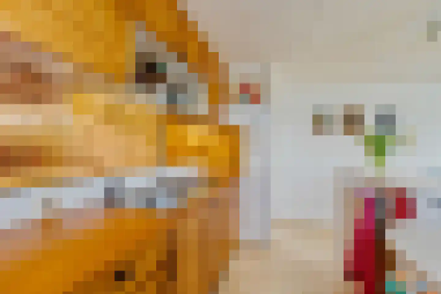 Waterlelie 4 Wilnis thumbnail 16