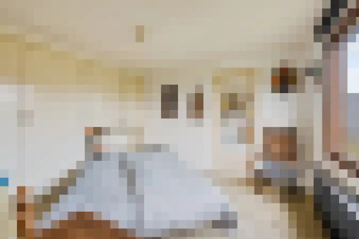 Waterlelie 4 Wilnis thumbnail 24
