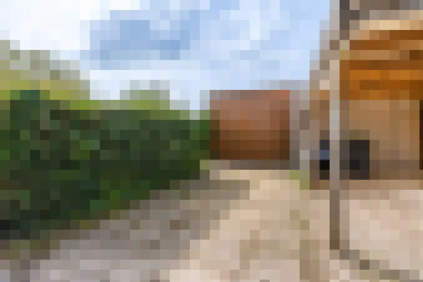 Waterlelie 4 Wilnis thumbnail 31