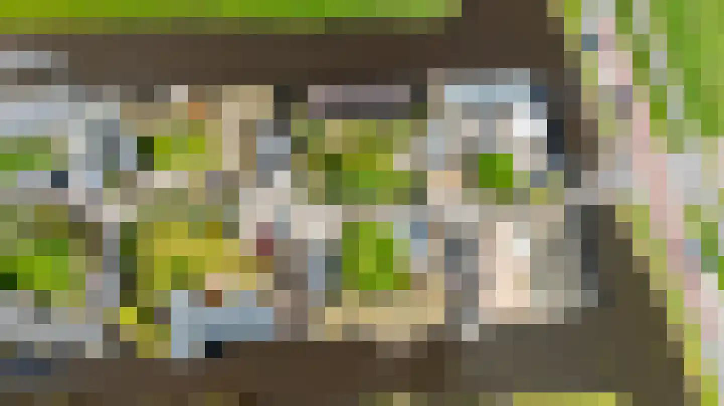 Waterlelie 4 Wilnis thumbnail 32