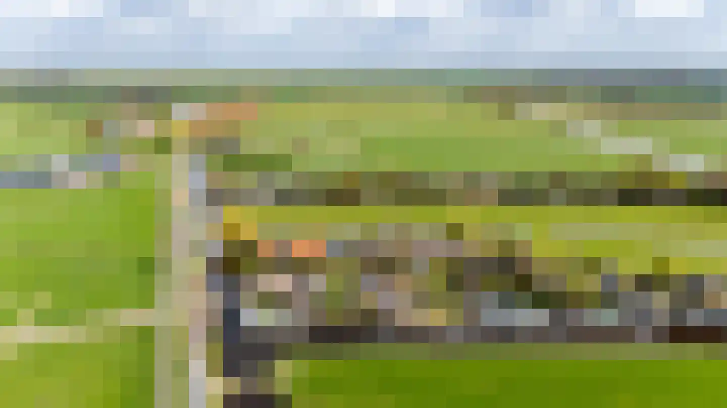 Waterlelie 4 Wilnis thumbnail 33
