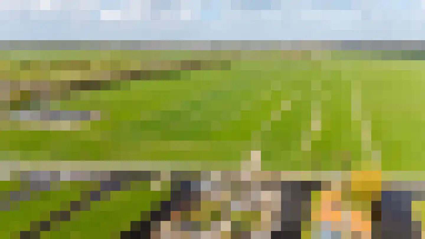 Waterlelie 4 Wilnis thumbnail 34