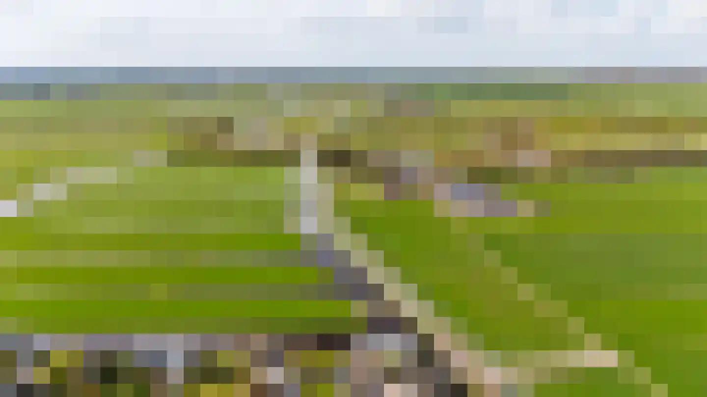Waterlelie 4 Wilnis thumbnail 35