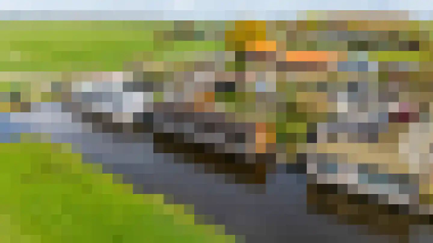 Waterlelie 4 Wilnis thumbnail 5