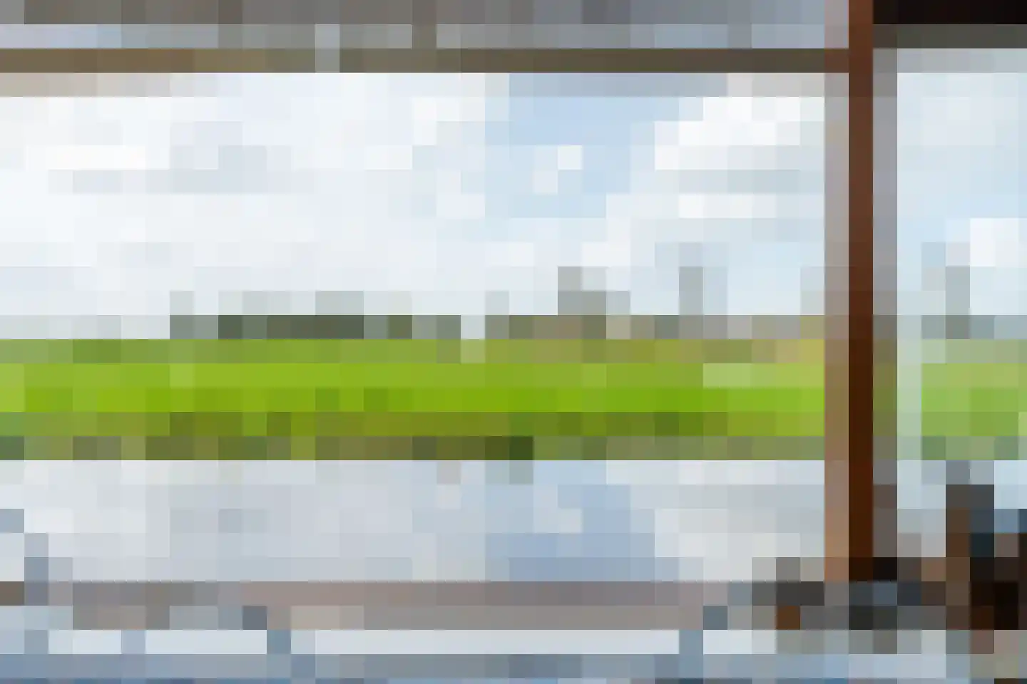 Waterlelie 4 Wilnis thumbnail 9