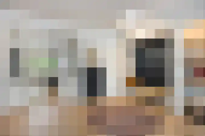Waterlelie 5 Gemert thumbnail 13