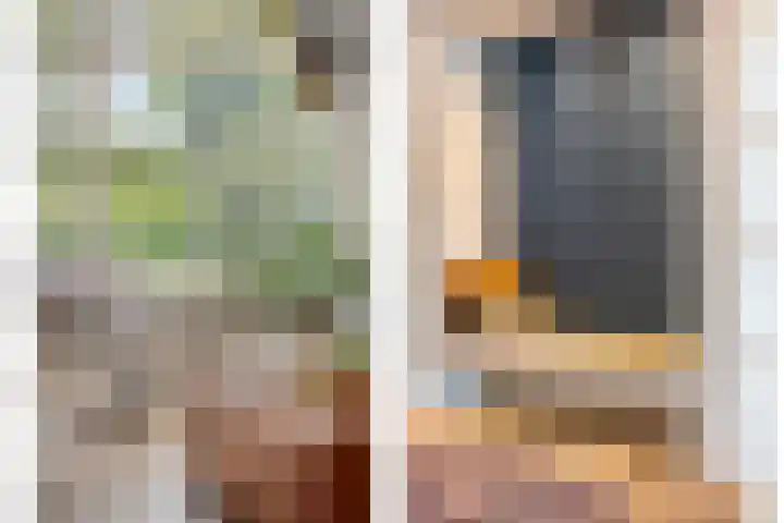 Waterlelie 5 Gemert thumbnail 15