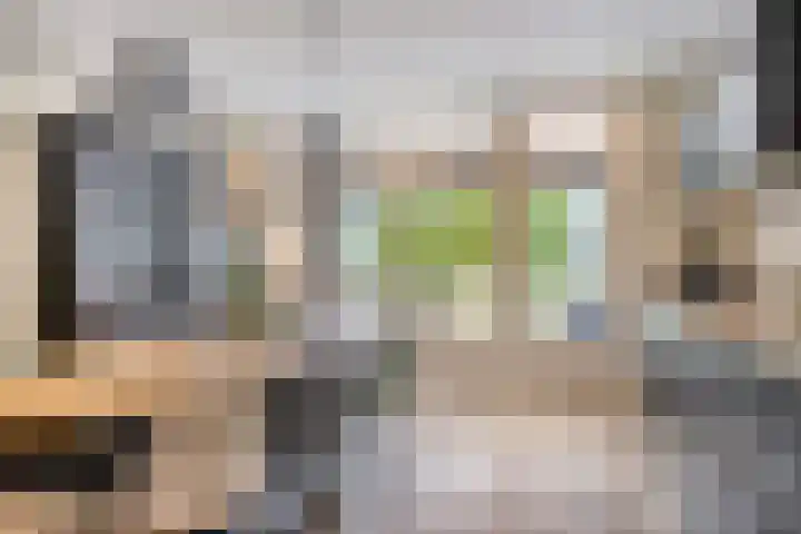 Waterlelie 5 Gemert thumbnail 20