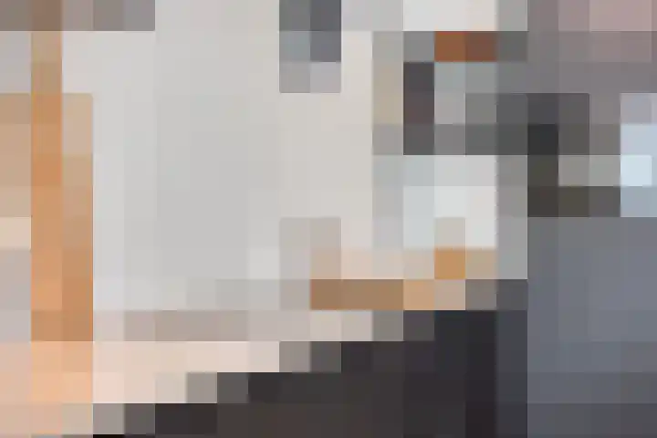 Waterlelie 5 Gemert thumbnail 24