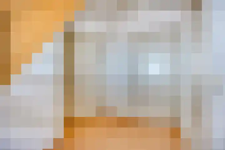 Waterlelie 5 Gemert thumbnail 27