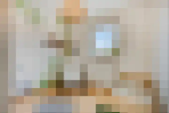 Waterlelie 5 Gemert thumbnail 33