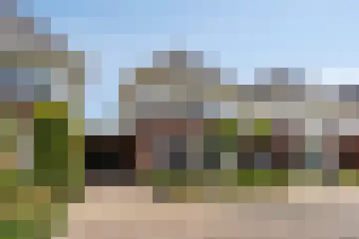Waterlelie 5 Gemert thumbnail 4
