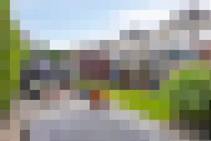 Waterlelie 5 Gemert thumbnail 43