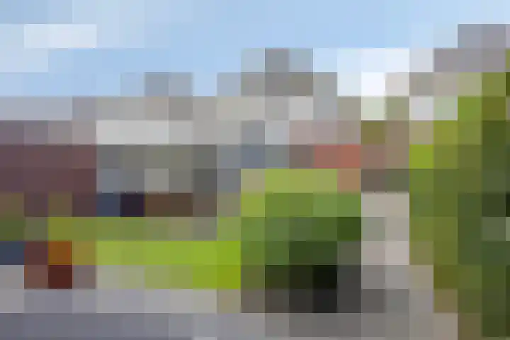Waterlelie 5 Gemert thumbnail 44