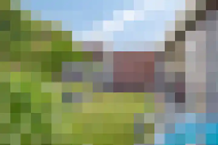 Waterlelie 5 Gemert thumbnail 45