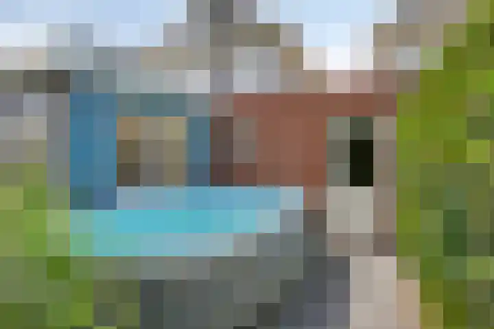 Waterlelie 5 Gemert thumbnail 46