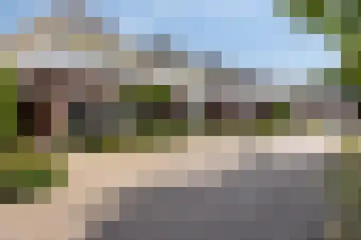 Waterlelie 5 Gemert thumbnail 5