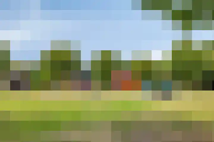 Waterlelie 5 Gemert thumbnail 51