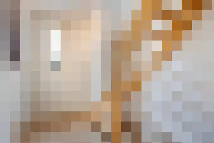 Waterlelie 5 Gemert thumbnail 6
